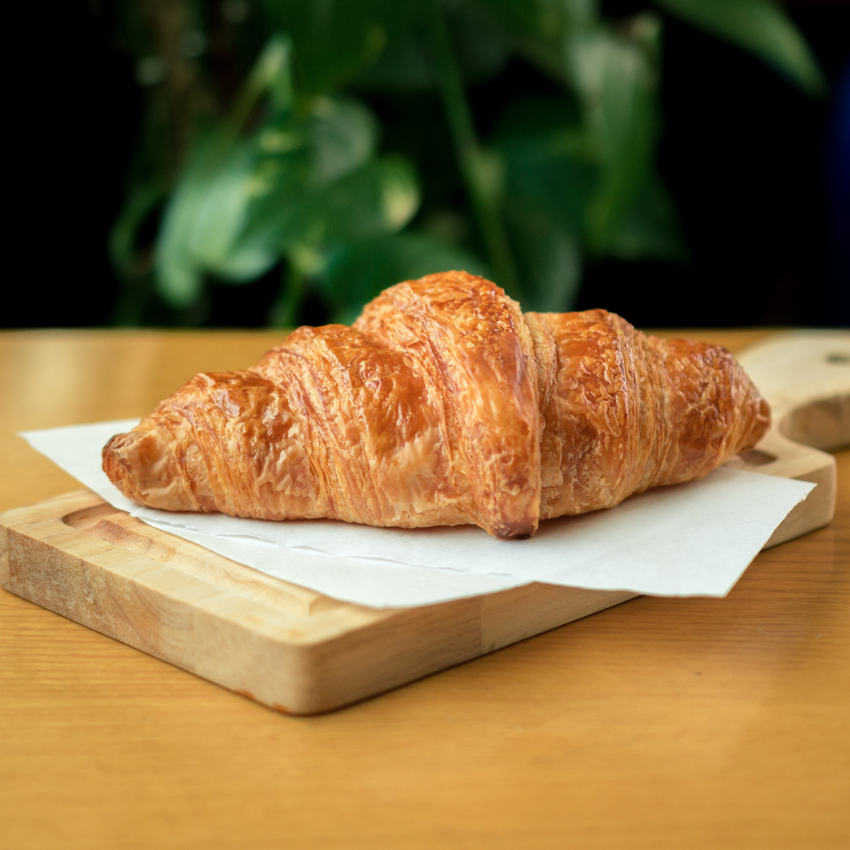 fresh croissant